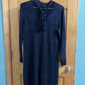 Lane Bryant purple glitter dress size 14/16